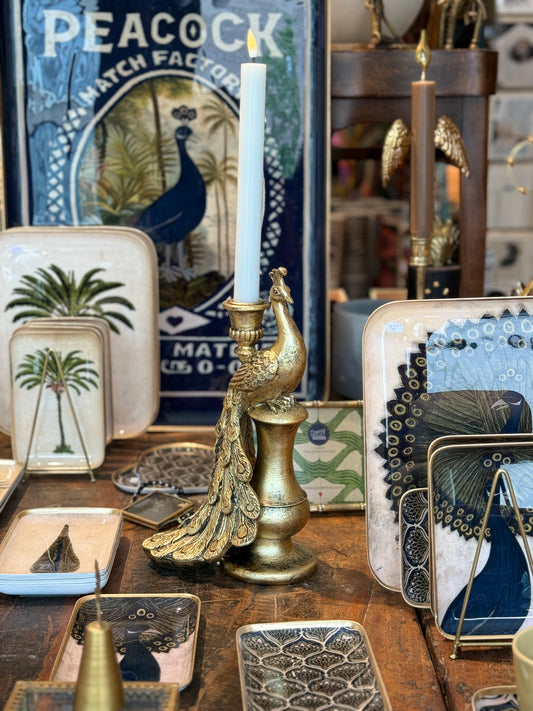 Kandelaar pauw, Tausi