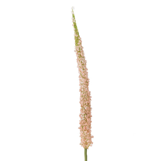 Bloomingville Foxtail