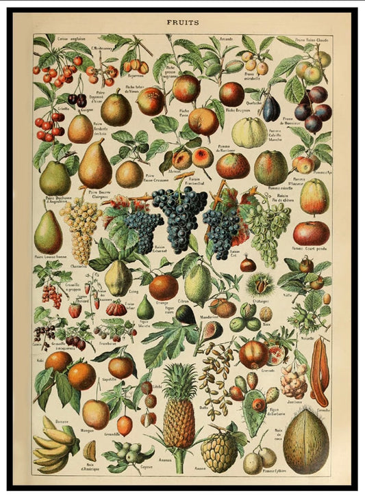 Poster vintage fruit 50 x 70