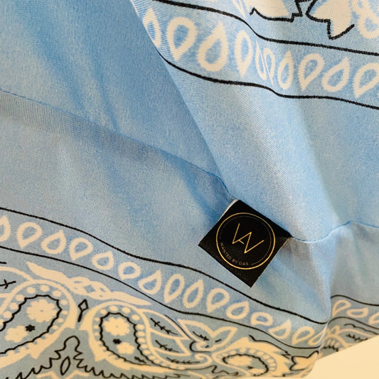 WBDB Blue blue orange