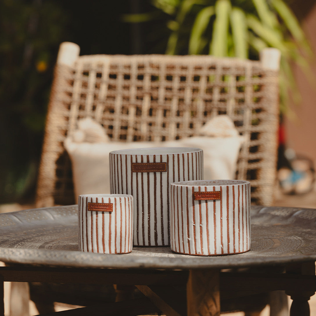 Côte Bougie geurkaars – Zébré Terra  – S – Kamoun