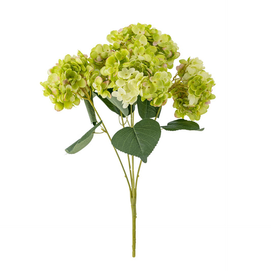 Bloomingville Hydrangea bos