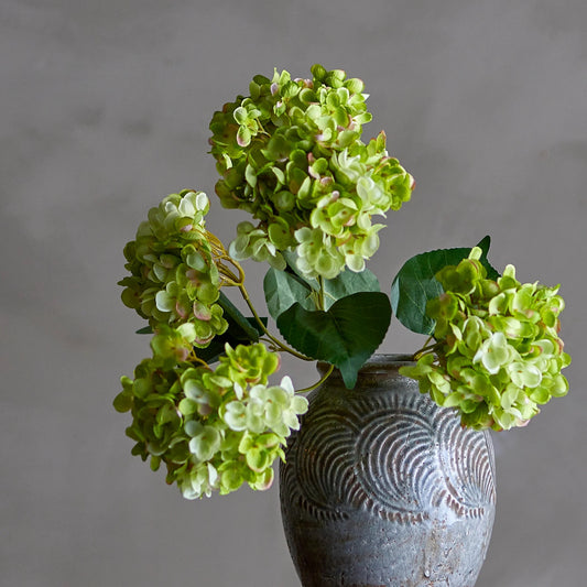 Bloomingville Hydrangea bos