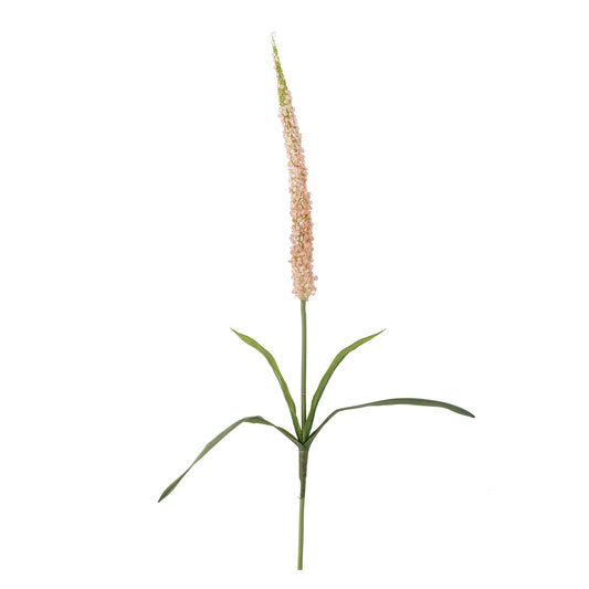 Bloomingville Foxtail