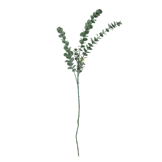 Bloomingville Eucalyptus tak