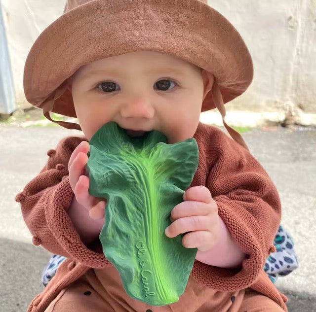 Oli&Carol Kendall kool bijtring